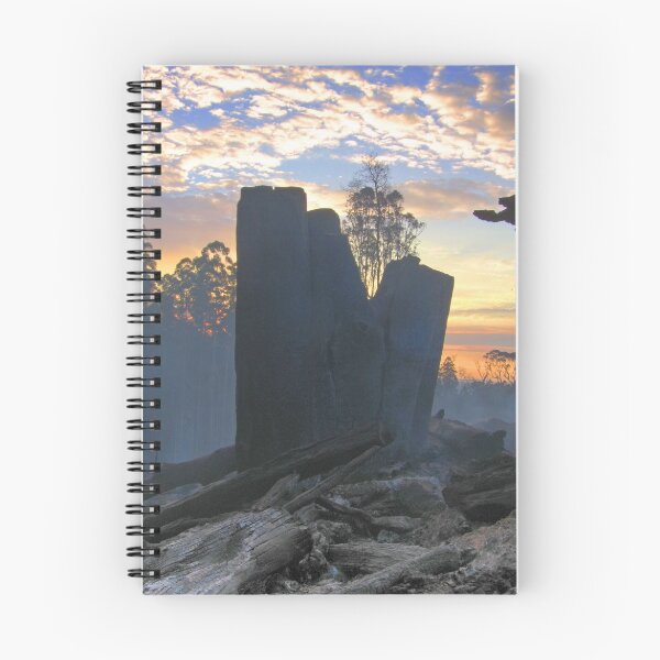 Item preview, Registro responsable? designed and sold by Travis Easton.