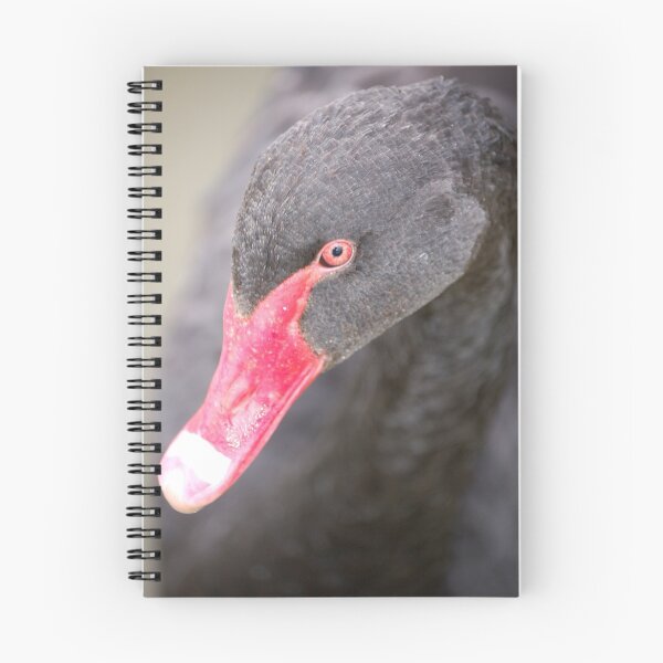 Item preview, Black Swan designed and sold by Mandy Fell.