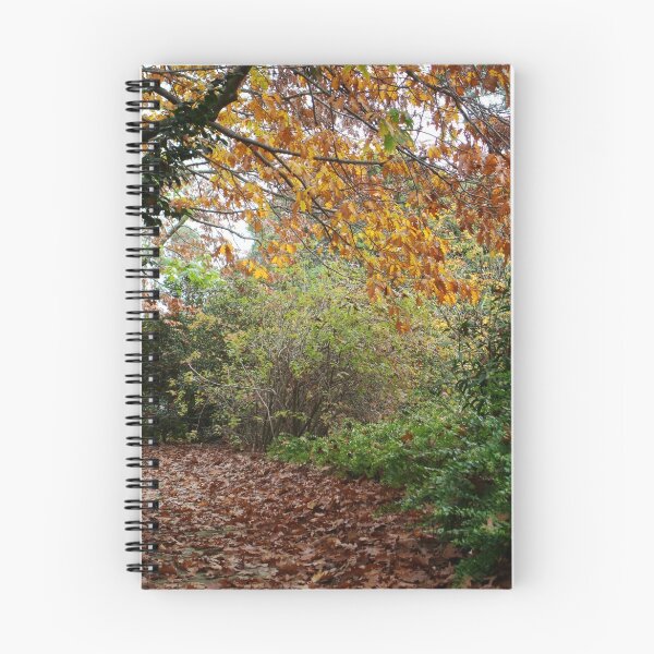 Artikelvorschau, Leaf Path entworfen und verkauft von orianne.