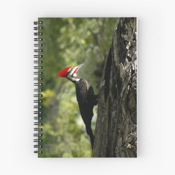 Item preview, PILEATED WOODPECKER designed and sold by TomBaumker.