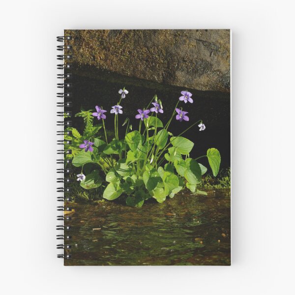 Item preview, Wild Purple Violets designed and sold by Molly  Kinsey.
