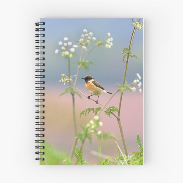 Item preview, Stonechat designed and sold by Neil Bygrave (NATURELENS).
