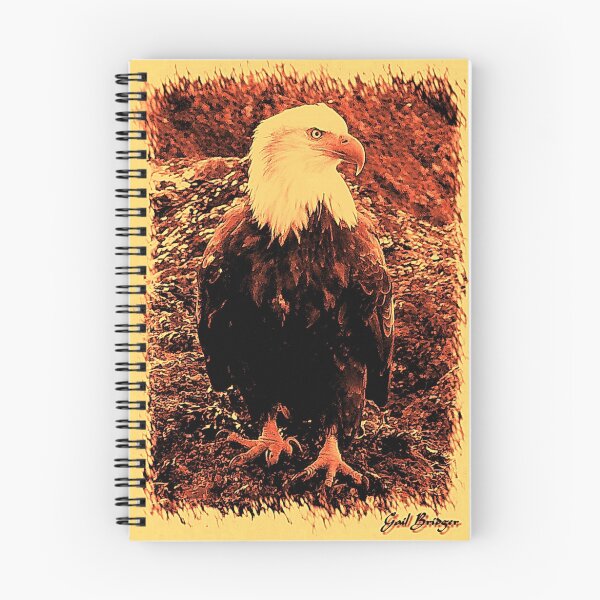Item preview, Blazing Eagle designed and sold by Gail Bridger.
