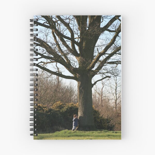 Item preview, hide and seek designed and sold by Lefever.