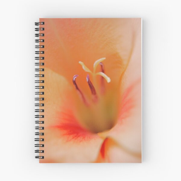 Item preview, Gladiola designed and sold by salsbells69.