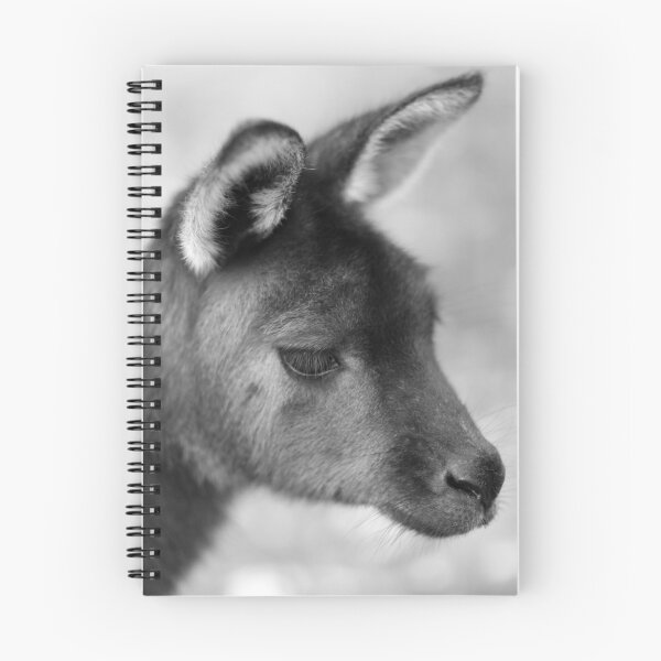 Item preview,  Victoria designed and sold by Barrie Collins.