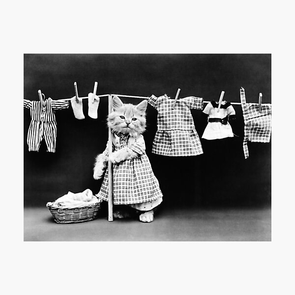 Item preview, Cat Hanging Laundry On Clothesline - Harry Whittier Frees designed and sold by warishellstore.