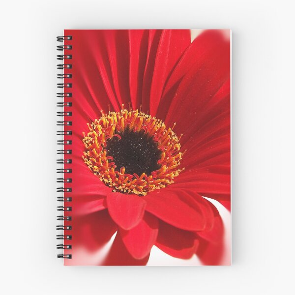Item preview, Red Gerbera designed and sold by HippyDi.
