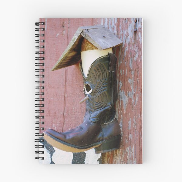 Artikelvorschau, Cowboystiefel-Vogelhaus entworfen und verkauft von madman4.