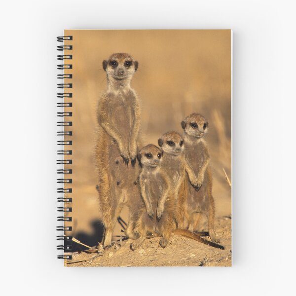 Item preview, Meercat Trio designed and sold by jaqi.