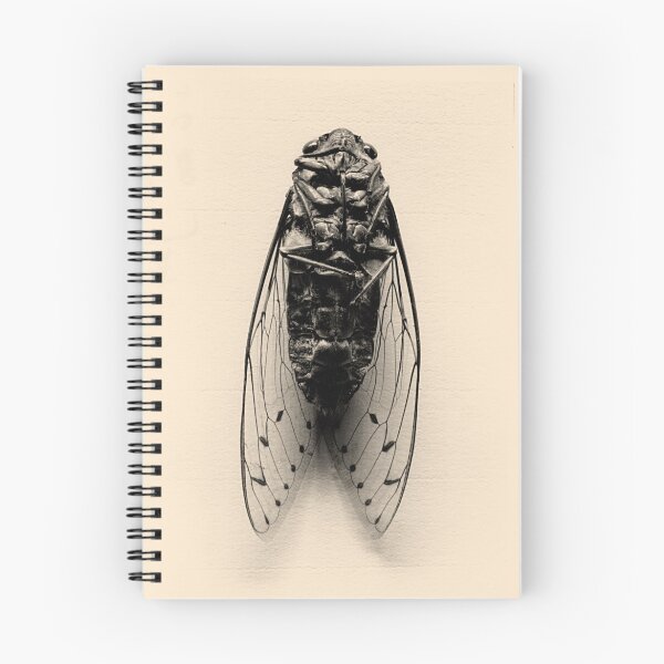 Item preview, Very Still Life #1 designed and sold by transmute.