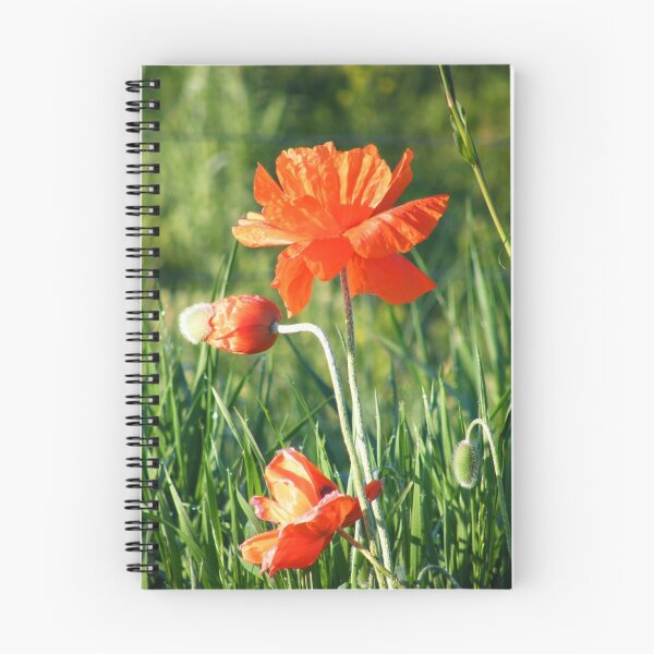 Item preview, Poppies designed and sold by stopthat.