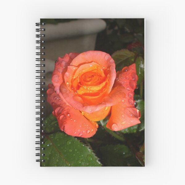 Item preview, Rose Series #10 designed and sold by Ellaine Walker.