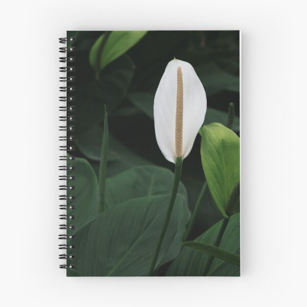 Item preview, Peace Lily, Singapore designed and sold by Leigh Penfold.