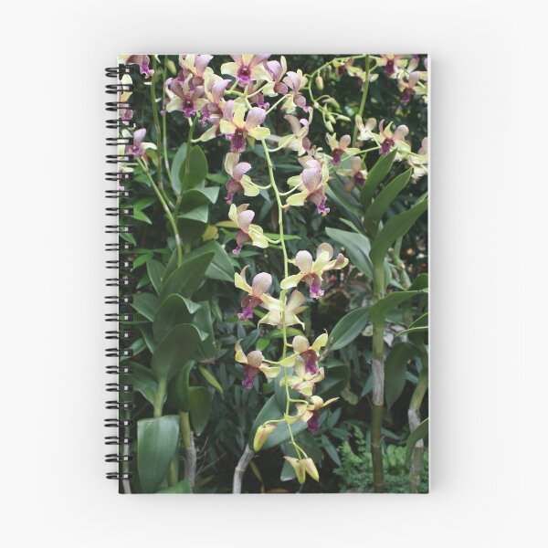 Item preview, Orchids, Singapore designed and sold by Leigh Penfold.
