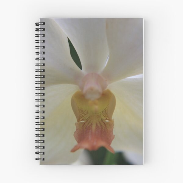 Item preview, Orchid, Singapore designed and sold by Leigh Penfold.