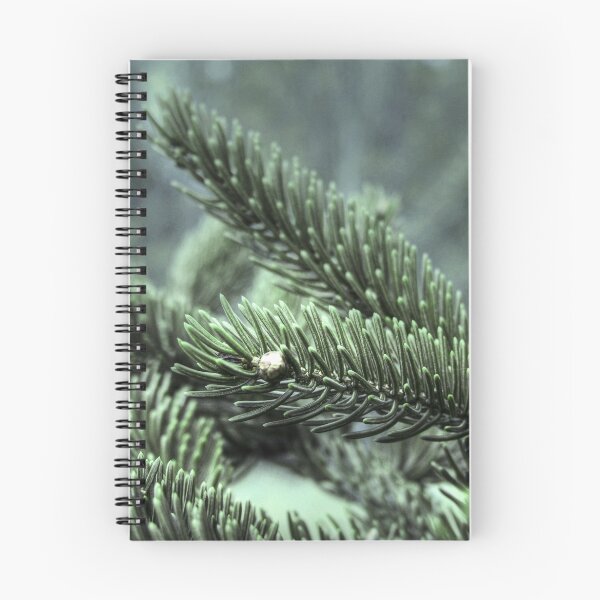 Item preview, Pines designed and sold by Angie Fouquette.