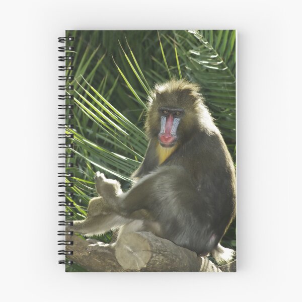 Item preview, Mandrill designed and sold by Aussiebluey.