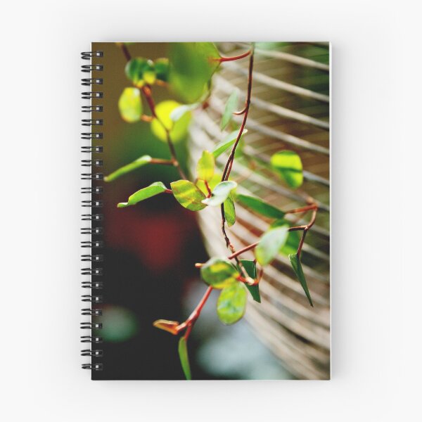Item preview, The sign of the new spring designed and sold by Yuning.