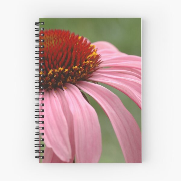 Item preview, Echinacea purpurea designed and sold by Lorraine Deroon.