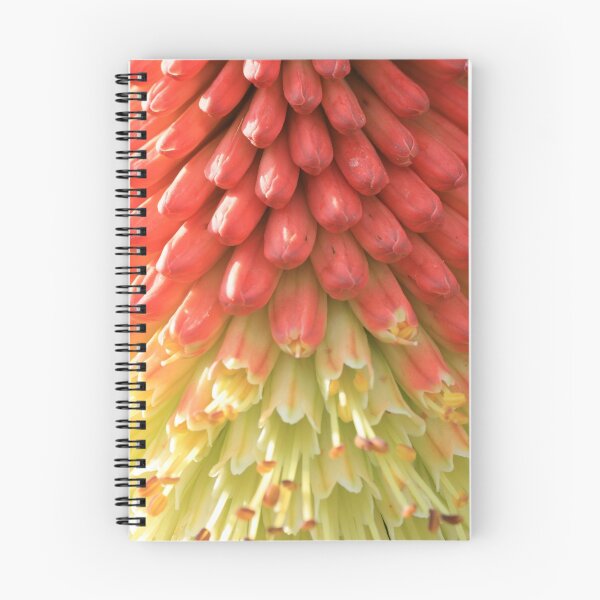 Item preview, Red Hot Poker designed and sold by Justine Humphries.