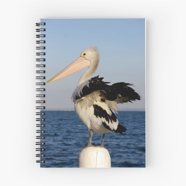 Item preview,  australian pelican designed and sold by Cheryl Ribeiro.