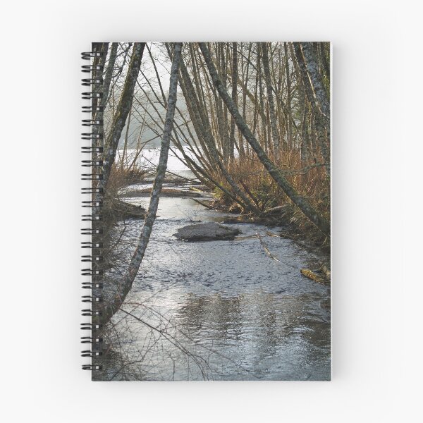 Aperçu de l'œuvre Backwoods Creek créée et vendue par Jack McCallum.