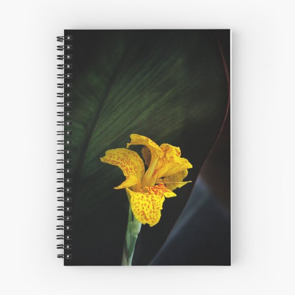 Item preview, Canna Lily designed and sold by Alison Cornford-Matheson.