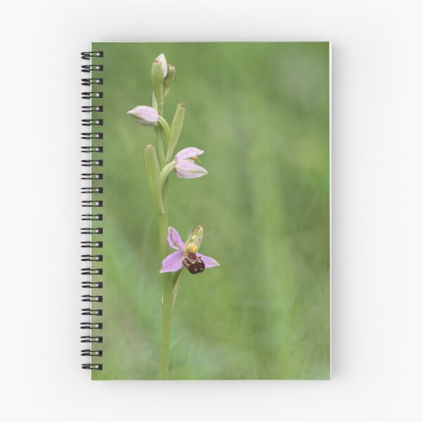 Item preview, Bee Orchid ......... designed and sold by godders.