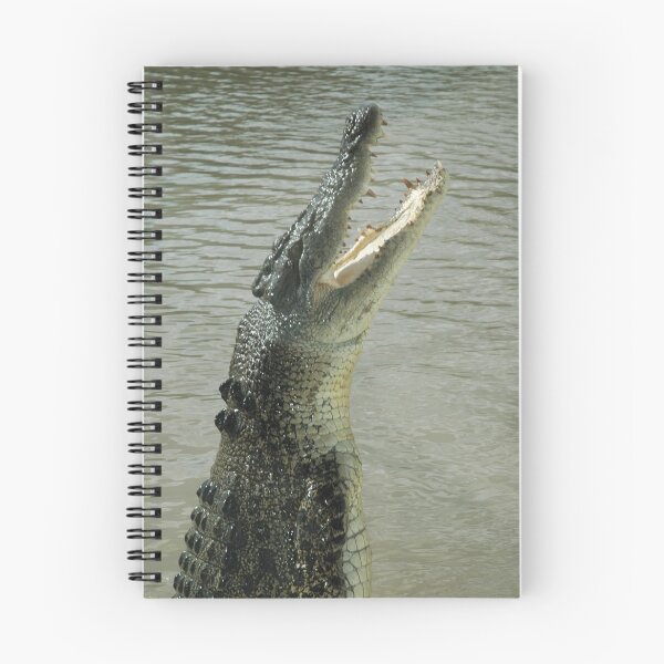 Item preview, Another hungry crocodile designed and sold by Ian McKenzie.
