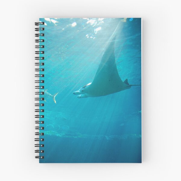 Item preview, Manta Ray designed and sold by Ian Tilly.