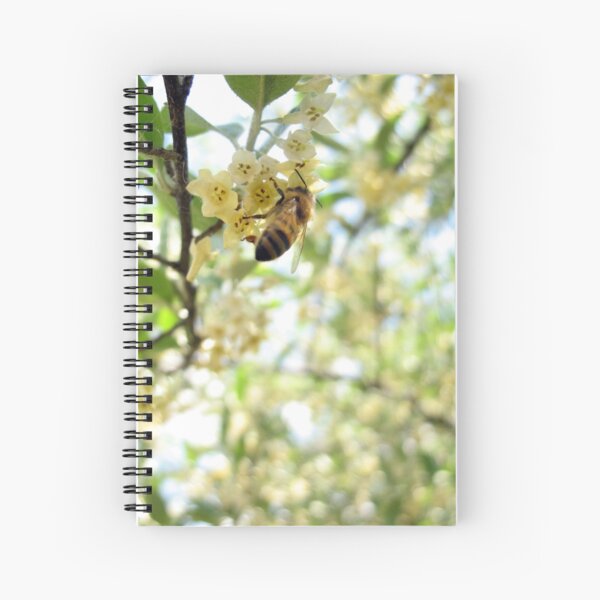 Honey and Olives Spiral Notebook