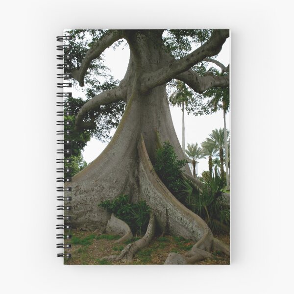Item preview, Trees in Florida designed and sold by Katie Gill.