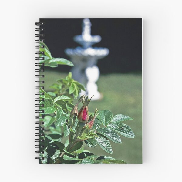 Item preview, Rosebud designed and sold by David Lampkins.