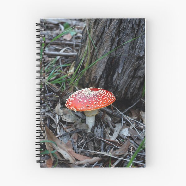 Item preview, Bezerk Fairytale designed and sold by Clare McClelland.