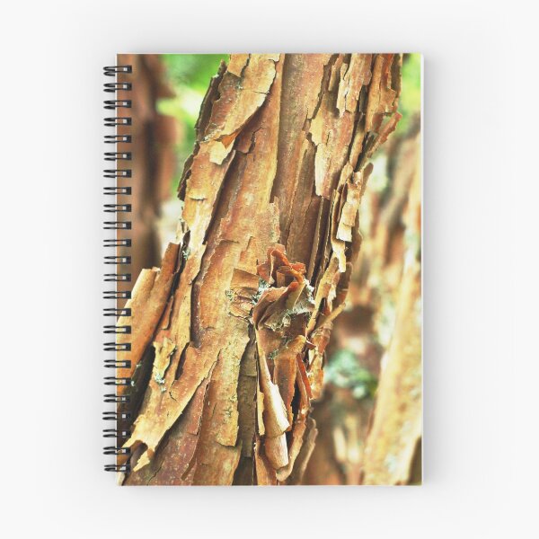 Item preview, Peeling Bark designed and sold by jacqi.