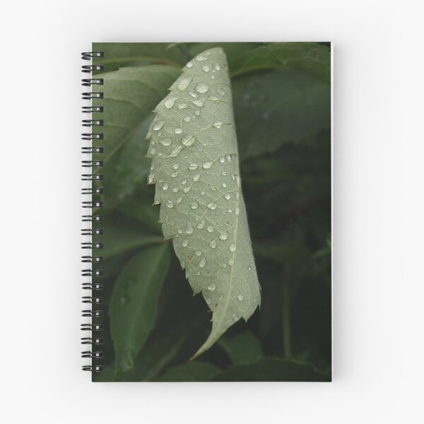Item preview, AFTER THE RAIN designed and sold by Sharon A Henson.