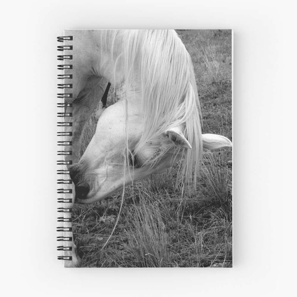 Item preview, Spiral Notebook designed and sold by whoadamnit.