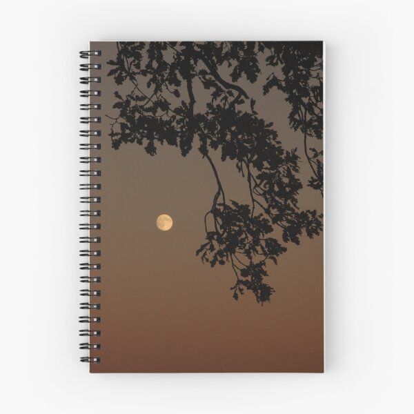 Artikelvorschau, Winter Moon entworfen und verkauft von Charles Howarth.