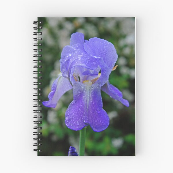 Item preview, AN IRIS AFTER THE RAIN designed and sold by DRON.