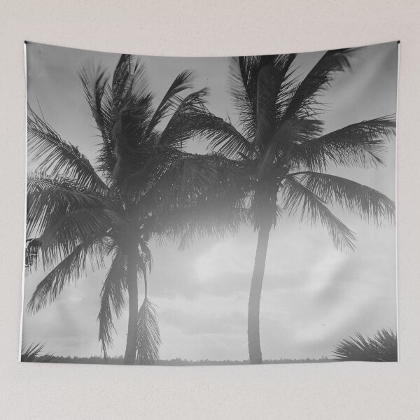 Item preview, Black & White Palm Trees in The Sunset Photograph designed and sold by BravuraMedia.
