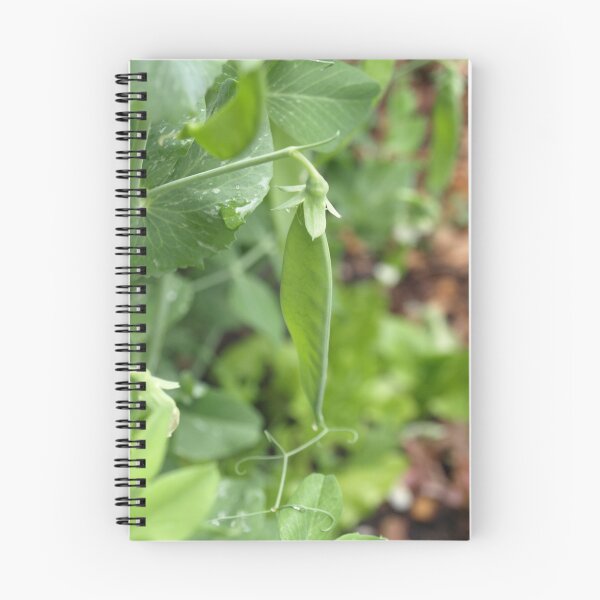 Item preview, PEA POD designed and sold by Sharon A Henson.
