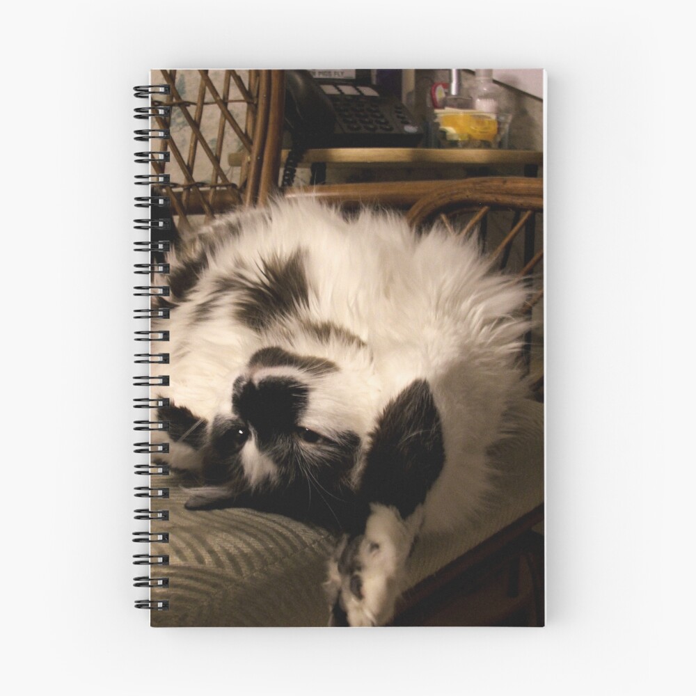 Item preview, Spiral Notebook designed and sold by Perspective.