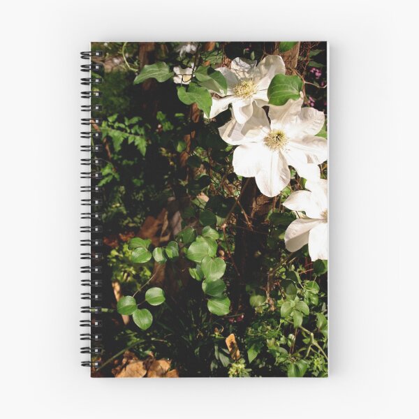 Item preview, Orchid Garden designed and sold by Jill Sprague.