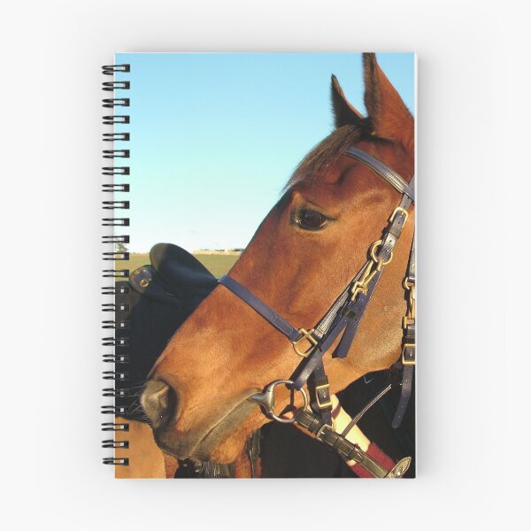 Item preview, "Ready to Run" designed and sold by Madonna McKenna.