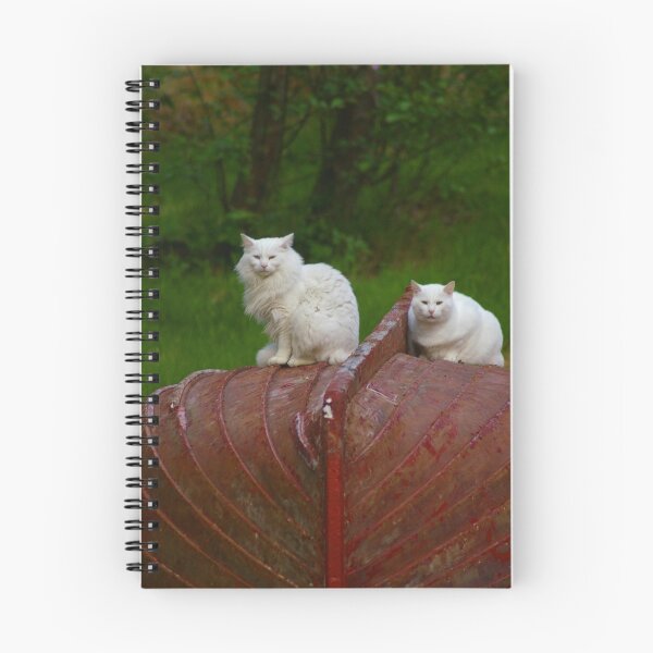 Item preview, Why Yes, We DO Own It designed and sold by Amber Graham (grahamedia).