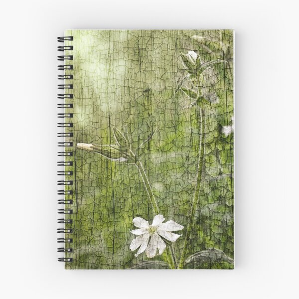 Item preview, White Campion designed and sold by Creative by Design.