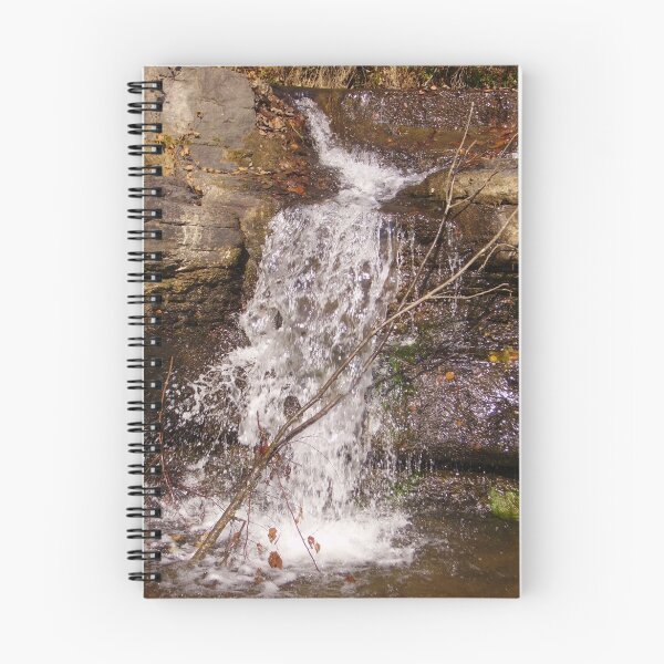 Aperçu de l'œuvre Natural Dam on Lee Creek créée et vendue par John Pollard.