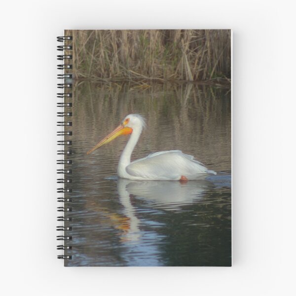 Item preview, The White Pelican designed and sold by Daniel Doyle.