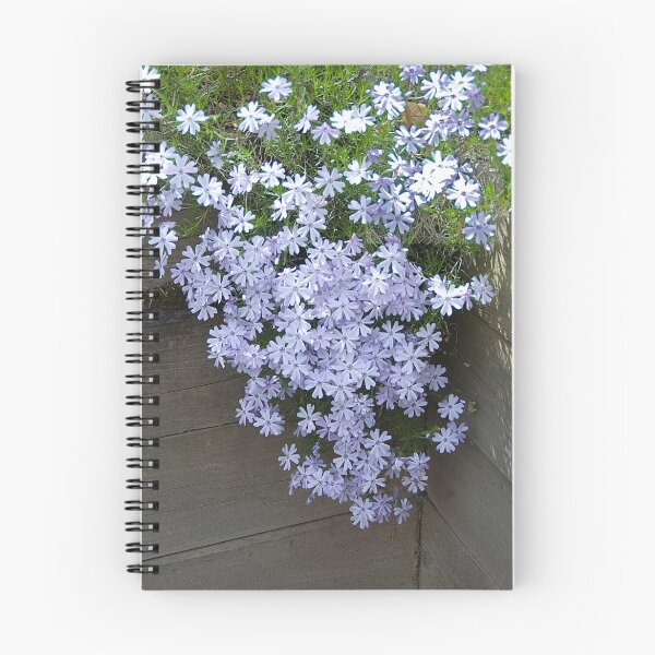 Item preview, Phlox designed and sold by bunnij.